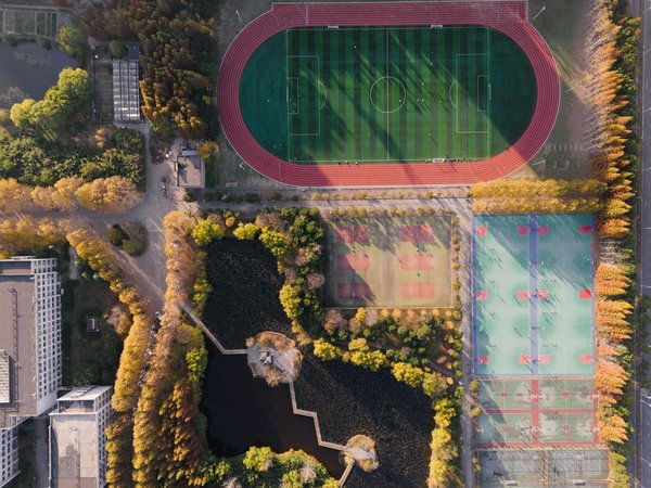 Les plus belles collections de ballons de football