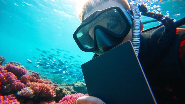 Top 5 masques de plongée pour une aventure sous-marine inoubliable